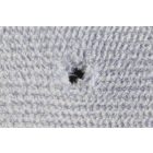 Tépőzáras gyapjúkorong 80/90mm LHR75E géphez